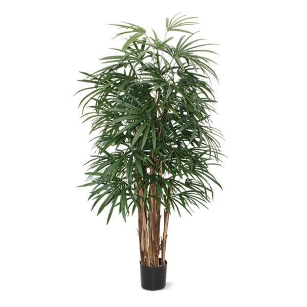 HSM Collection-Kunstplant Greens Raphis